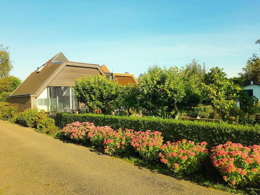 Lovely House Till 6 P. Near Amsterdam, Sea Lejlighed Opmeer Eksteriør billede
